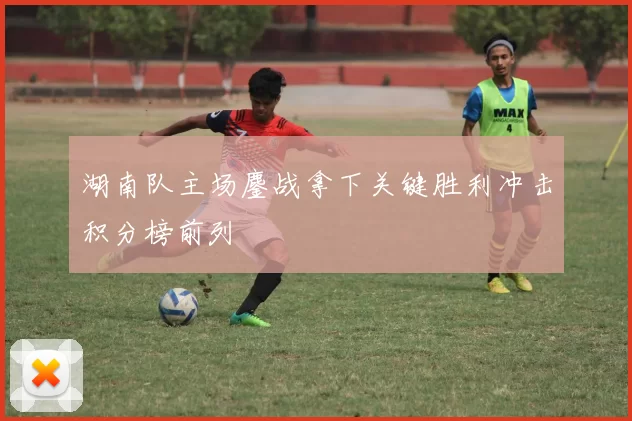 湖南队主场鏖战拿下关键胜利冲击积分榜前列