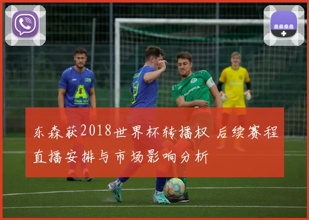 东森获2018世界杯转播权 后续赛程直播安排与市场影响分析