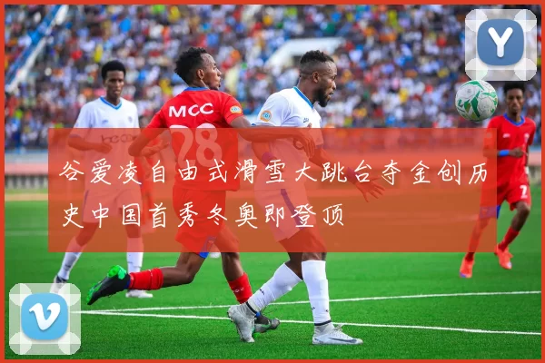 谷爱凌自由式滑雪大跳台夺金创历史中国首秀冬奥即登顶