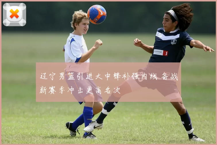 辽宁男篮引进大中锋补强内线 备战新赛季冲击更高名次